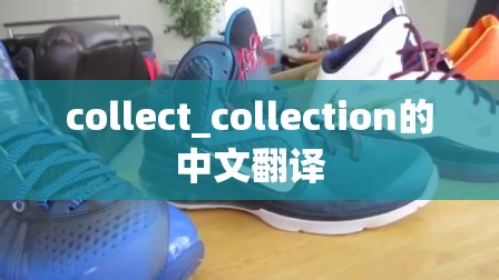 collect_collection的中文翻译