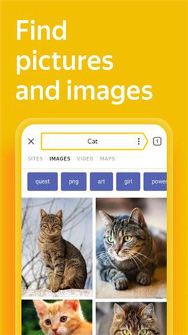 俄罗斯引擎yandex