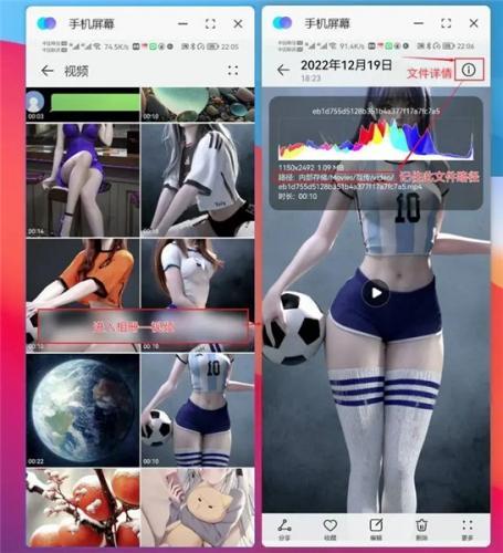 主题协作器荣耀版