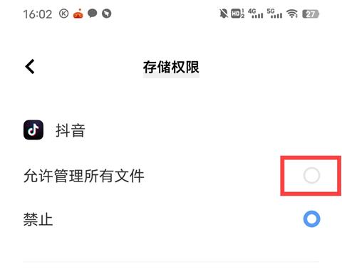 TikTok国际版