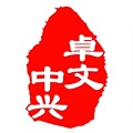 卓文中兴安卓最新版安装包（暂未上线）