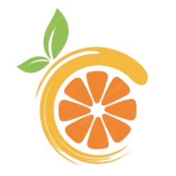 citron模拟器官方正版安卓安装包ve2808ec