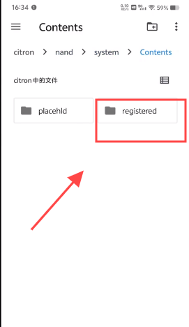 citron模拟器