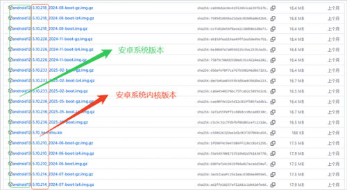 KernelSU面具