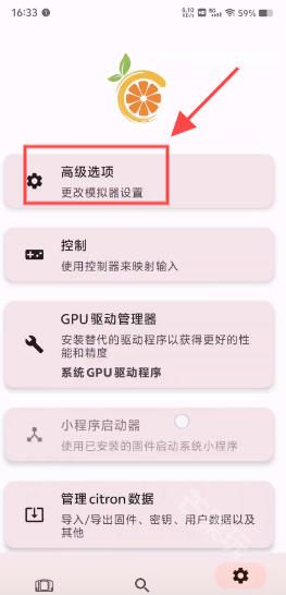 citron模拟器