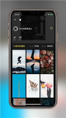纸塘壁纸