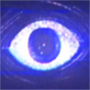 波比的游戏时间第五章自制版游戏手机版v0.5