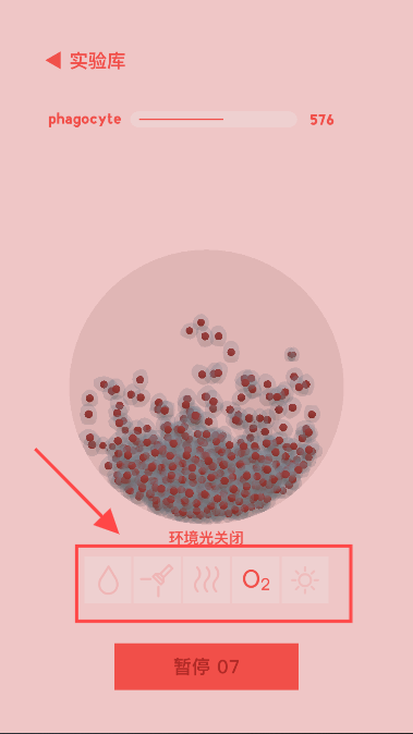 微观micro
