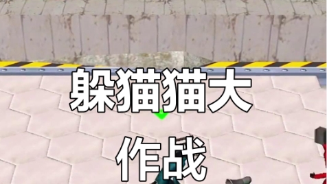 躲猫猫大乱斗修改版无限钻石
