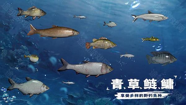 天天钓鱼达人版