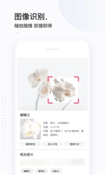 简单搜索app