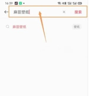 wallpaper麻匪壁纸透视文件