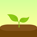 Forest专注森林最新免费版