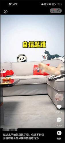 快应用老版本