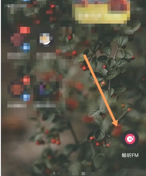 畅听FM