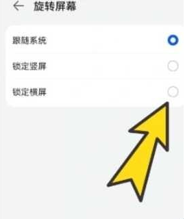 啵啵浏览器下载安装官方正版