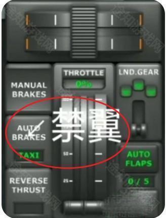 TFS飞行模拟器